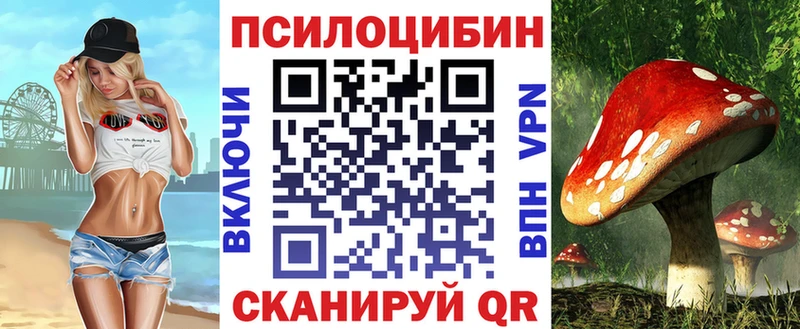 купить  цена  Магас  Псилоцибиновые грибы Cubensis 